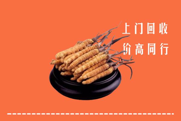 高价求购：东莞市回收散虫草