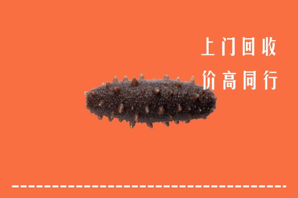 高价求购：东莞市回收海参