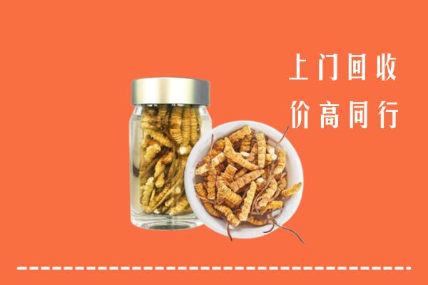 东莞市高价回收冬虫夏草
