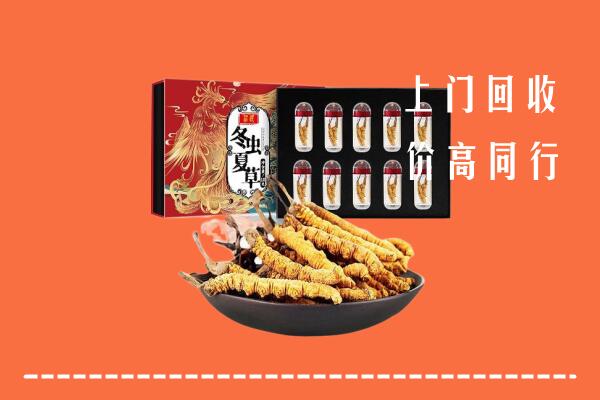 东莞市高价回收虫草